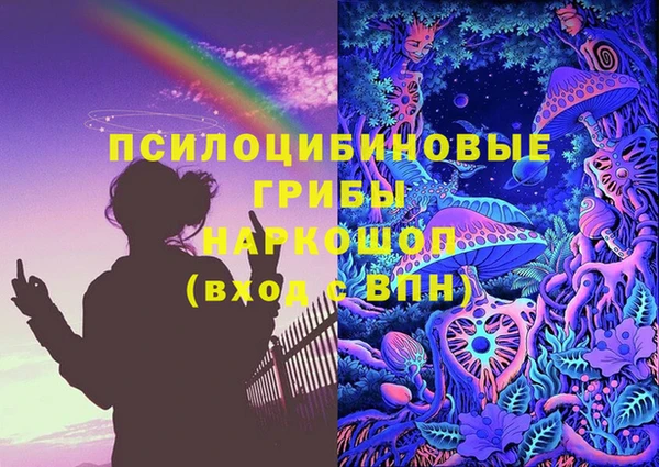 прущие грибы Абдулино