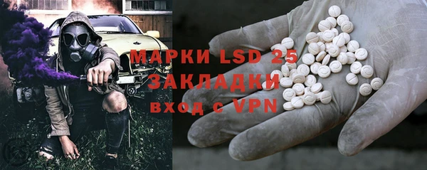 прущие грибы Абдулино