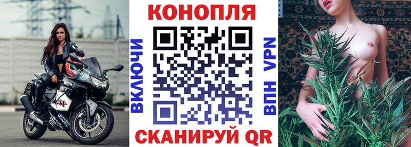 блэк спрут онион  где купить наркотик  Бугуруслан  Конопля семена 